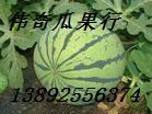 供應(yīng)陜西大荔西瓜供應(yīng)商