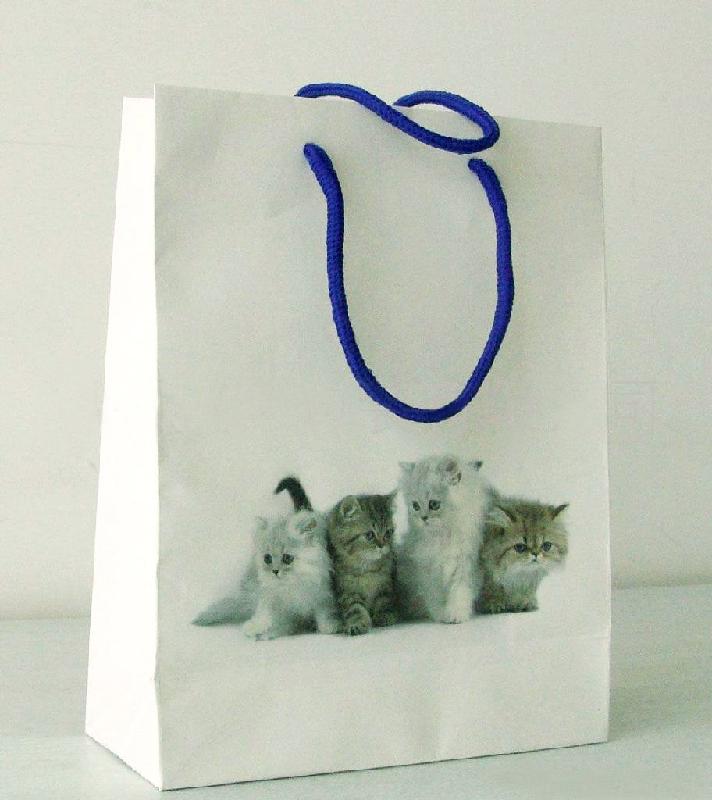 手提紙袋 生產(chǎn)