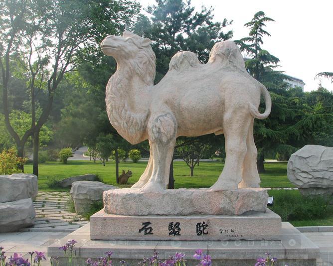 漢白玉駱駝圖片