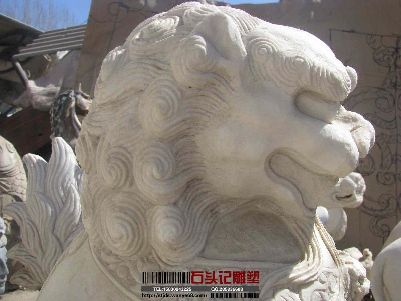 供應漢白玉石雕石獅子曲陽10
