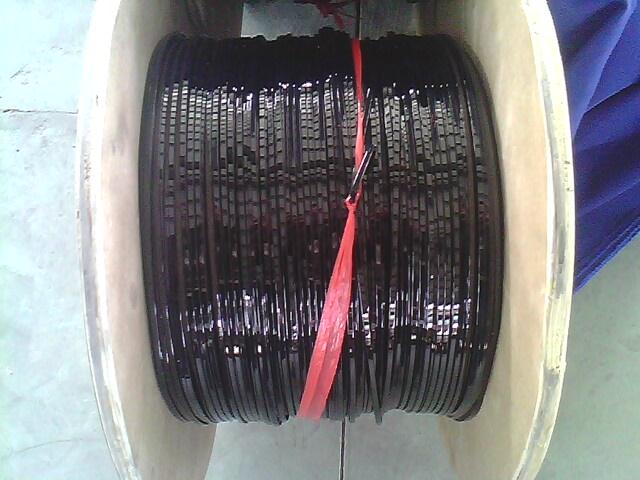 供應(yīng)高分子聚合絕緣鋁圓扁線