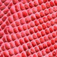 供應(yīng)佛山壓花版報價，壓花版報價