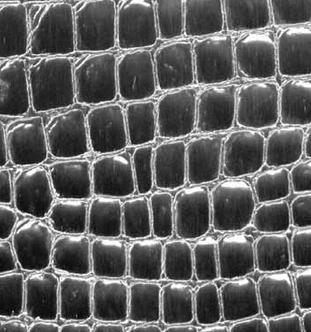 佛山運城制版壓花版廠家圖片