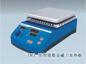 供應智能數(shù)顯磁力加熱板ZNCL-BS 140140智能數(shù)顯磁力加