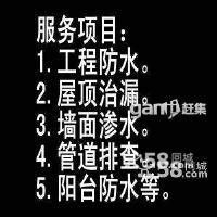 供应苏州楼房外墙面渗水JS防水涂料防水补漏苏州防水补漏维修公司图片