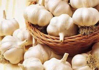 供應(yīng)早熟白皮大蒜種子 大蒜*價(jià)格 大蒜蒜頭