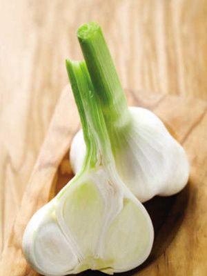 供應白皮早熟大蒜種子 大蒜出口新品種 新蒜上市價格 大蒜頭 蒜種