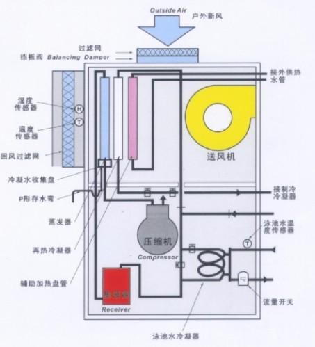 除溫游泳池圖片/除溫游泳池樣板圖 (3)