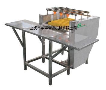 洗粽機(jī)圖片