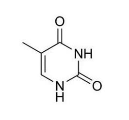 供应胸腺嘧啶CAS＃65-71-4