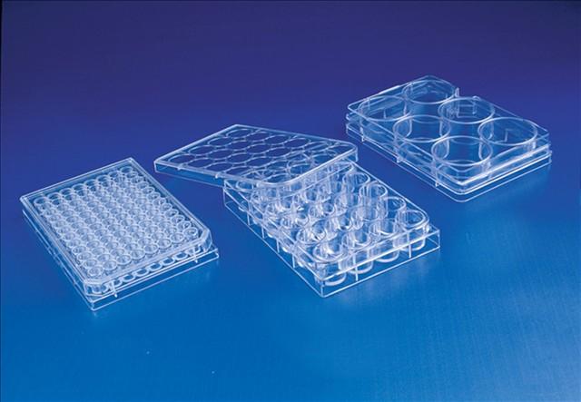 培養(yǎng)板corning圖片