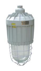 BAD59隔爆型防爆燈無機燈防爆隔爆無極燈節(jié)能防爆無極燈