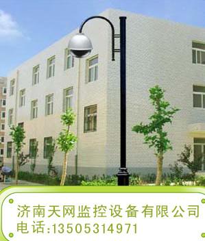 聊城哪里有電子警察立桿圖片