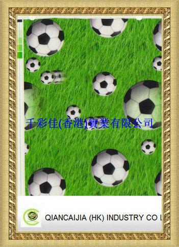 設計紋轉(zhuǎn)印膜圖片