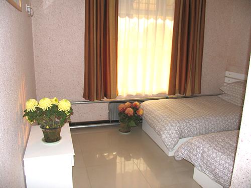 供應(yīng)臨沂品牌墻衣