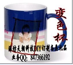 供應(yīng)濰坊訂制廣告衫濰坊訂制體恤衫