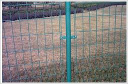 供應(yīng)隔離柵，護(hù)欄網(wǎng)，雙邊絲護(hù)欄網(wǎng) 安平縣天寶金屬絲網(wǎng)廠