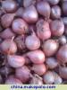 供應(yīng)紅黃皮洋蔥·大蒜·甘藍(lán)·供應(yīng)商·生產(chǎn)基地·*人·合作社紅黃