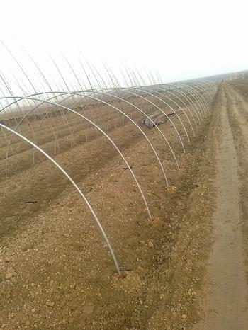 供應(yīng)水泥桿打穴機(jī)大棚樁打坑機(jī)