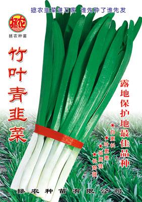 竹葉青韭菜圖片