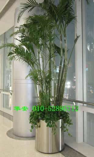 供應(yīng)不銹鋼花盆HP