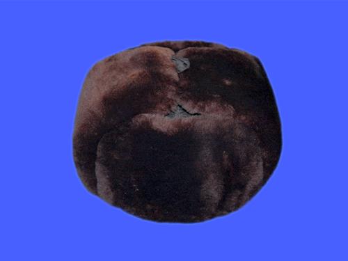 供應(yīng)安全帽廠家安全帽顏色、五星安全帽價(jià)格合理