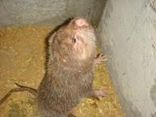 供應2014*銷售價格