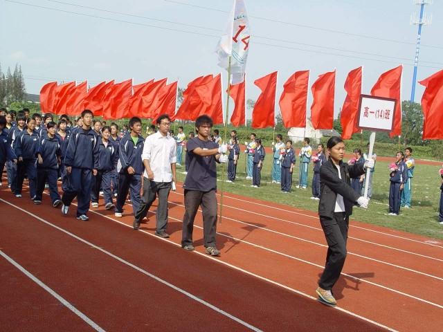 供應(yīng)汕尾市彩旗旗子廠家學(xué)校旗禮儀帶制作公司各類旗幟公司旗制作廠
