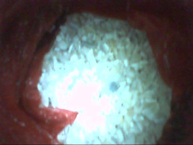 供應(yīng)工程聚丙再生塑料工聚