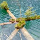 供應(yīng)2012九寨溝旅游旺季注意事項(xiàng)，九寨溝旅游自助游租車預(yù)訂咨詢