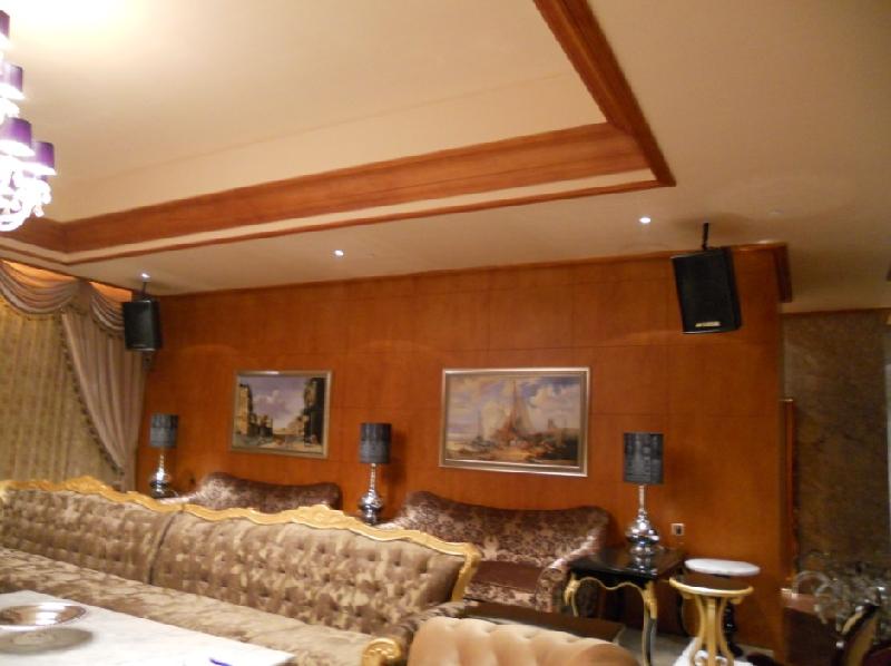 供應(yīng)LAS專業(yè)音響