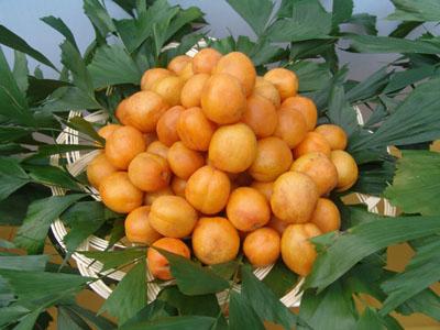 供應(yīng)深圳賽買提杏批發(fā)/深圳賽買提杏零售/深圳賽買提杏供應(yīng)商