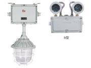 BAJ52-系列防爆應(yīng)急燈圖片