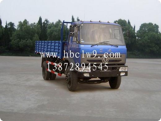 東風(fēng)多利卡教練車圖片