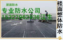 東莞專業(yè)廠房補漏圖片