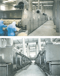 帶式干燥機(jī),脫水蔬菜干燥機(jī)