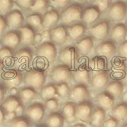 供應(yīng)NANG紡織機(jī)刺皮糙面橡皮粒面皮