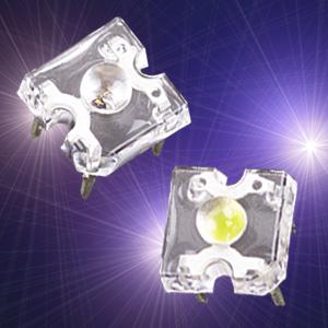 平頭食人魚(yú)圖片