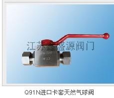 供應(yīng)江蘇阜寧CNG高壓球閥廠家