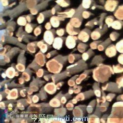 供應(yīng)雕刻棗木燒薰棗木大量供應(yīng)棗木