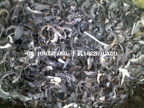 供應(yīng)鹿角片價格鹿茸片價格