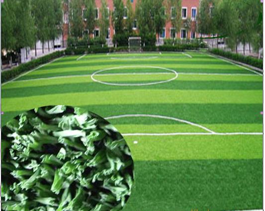 供應(yīng)重慶運(yùn)動(dòng)休閑草坪