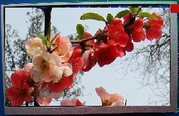 供應(yīng)多功能工業(yè)液晶顯示器供應(yīng)商