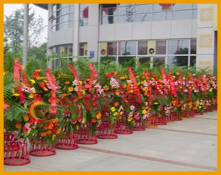 供應(yīng)慶典花藍(lán)