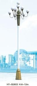 供應(yīng)成都中華燈廠家