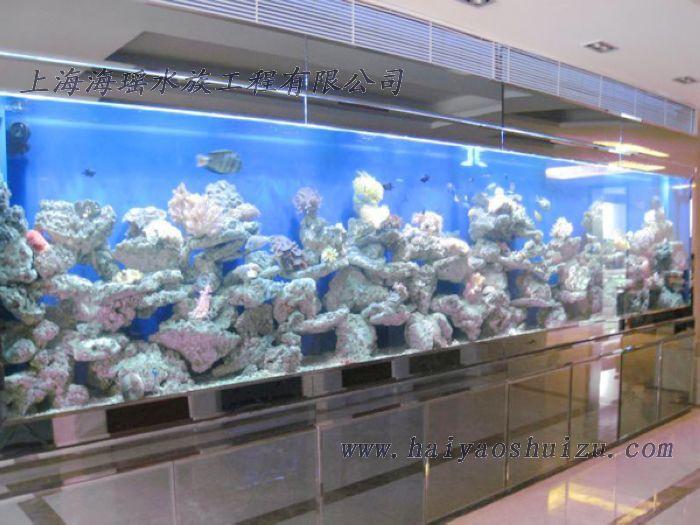 供應海水魚缸｜珊瑚魚缸｜制作珊瑚海水魚缸