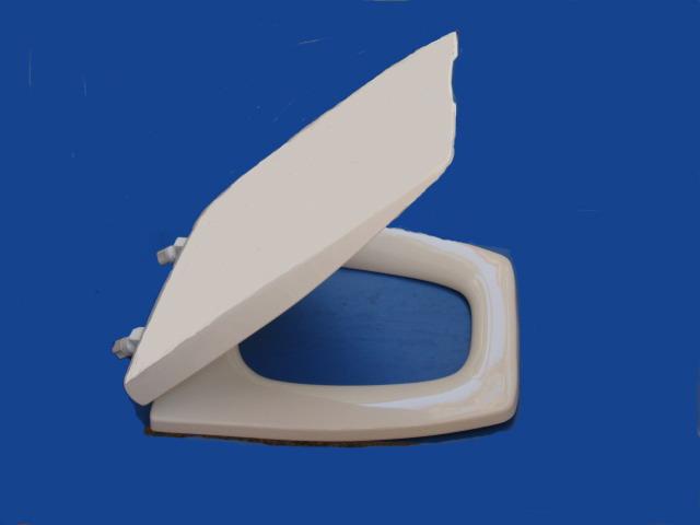 供應(yīng)黃巖*的馬桶蓋模具廠