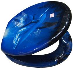 供應(yīng)臺州馬桶蓋模具黃巖馬桶蓋模具價