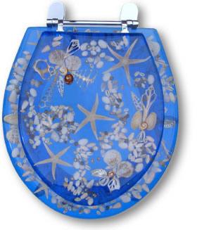 供應(yīng)自動(dòng)抽水馬桶蓋模具圖