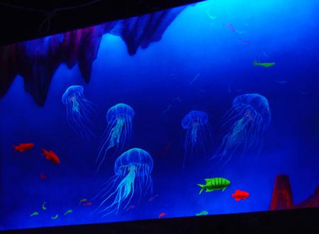 供應(yīng)手工隱形墻畫